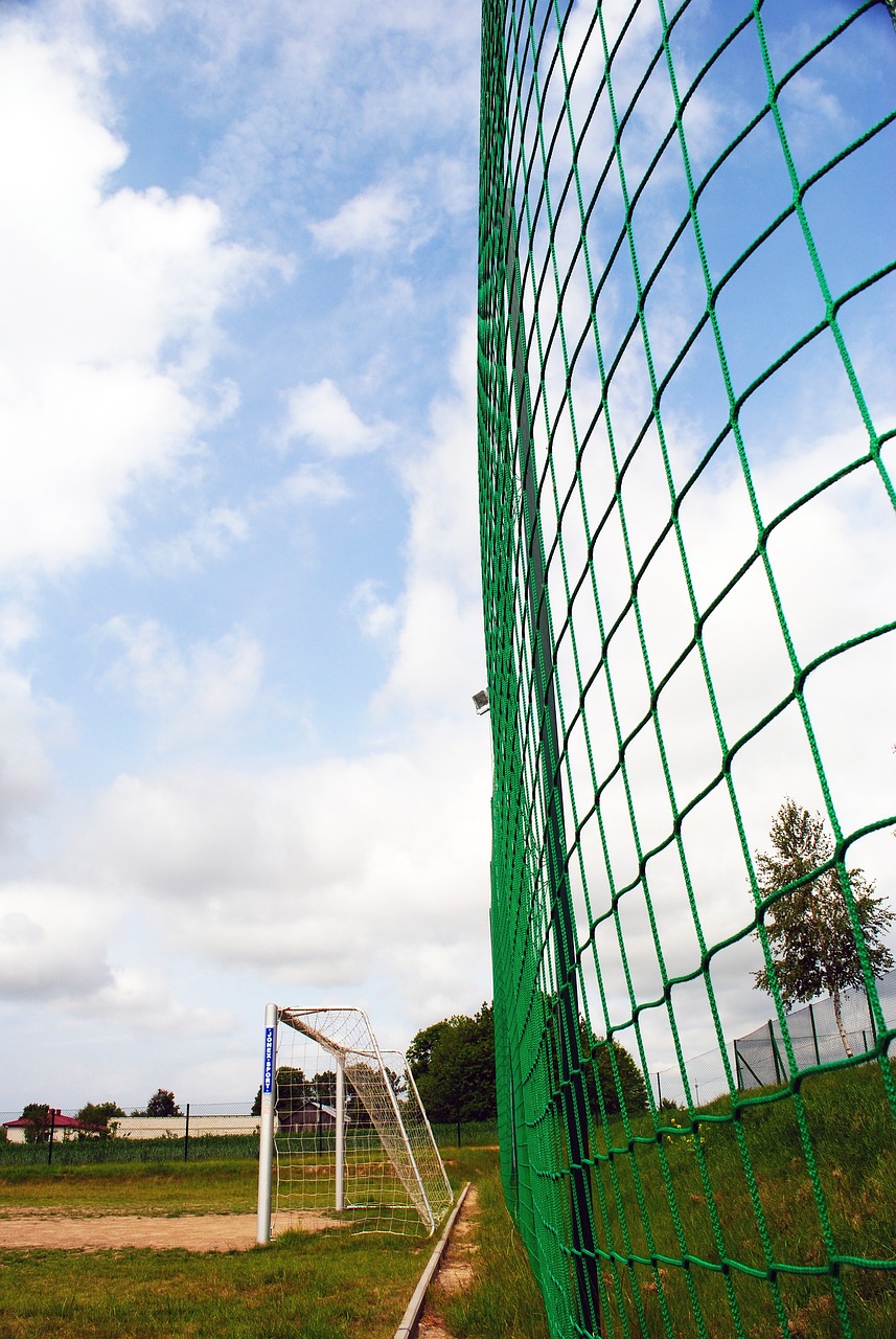 严感也有着 严感也有着