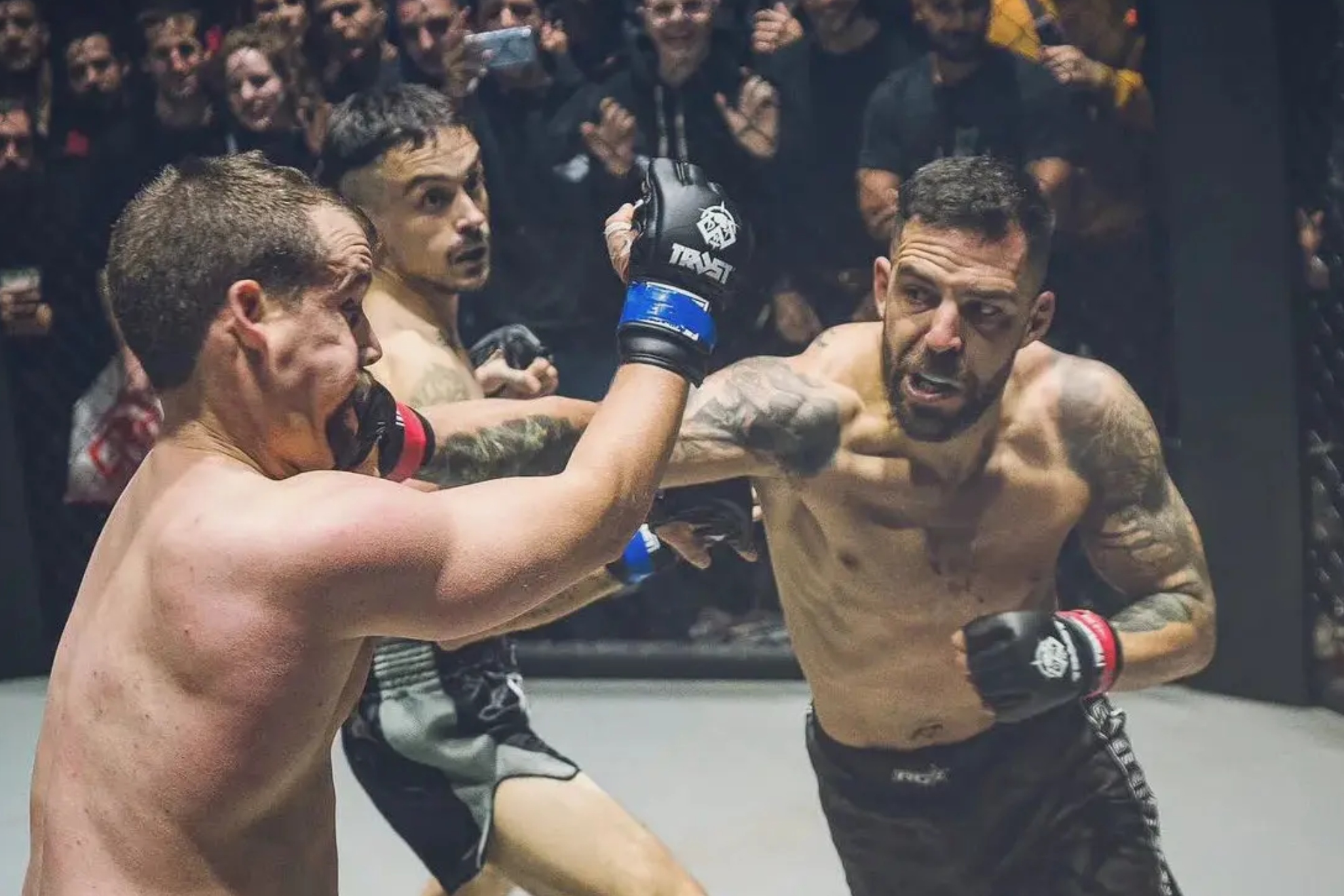 赋到职业生 赋到职业生