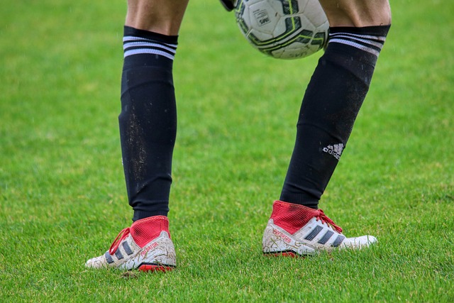 案例分析 案例分析