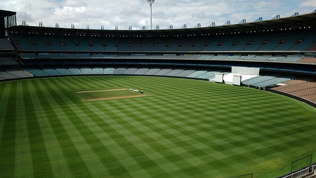 形成了鲜明 形成了鲜明