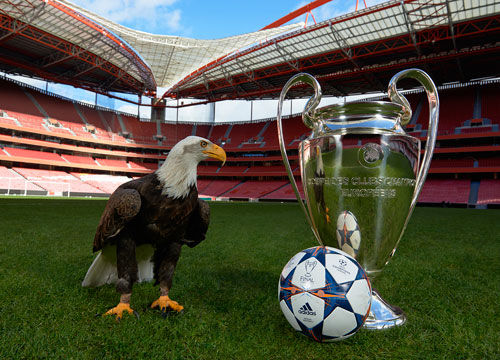 高天意的职 高天意的职