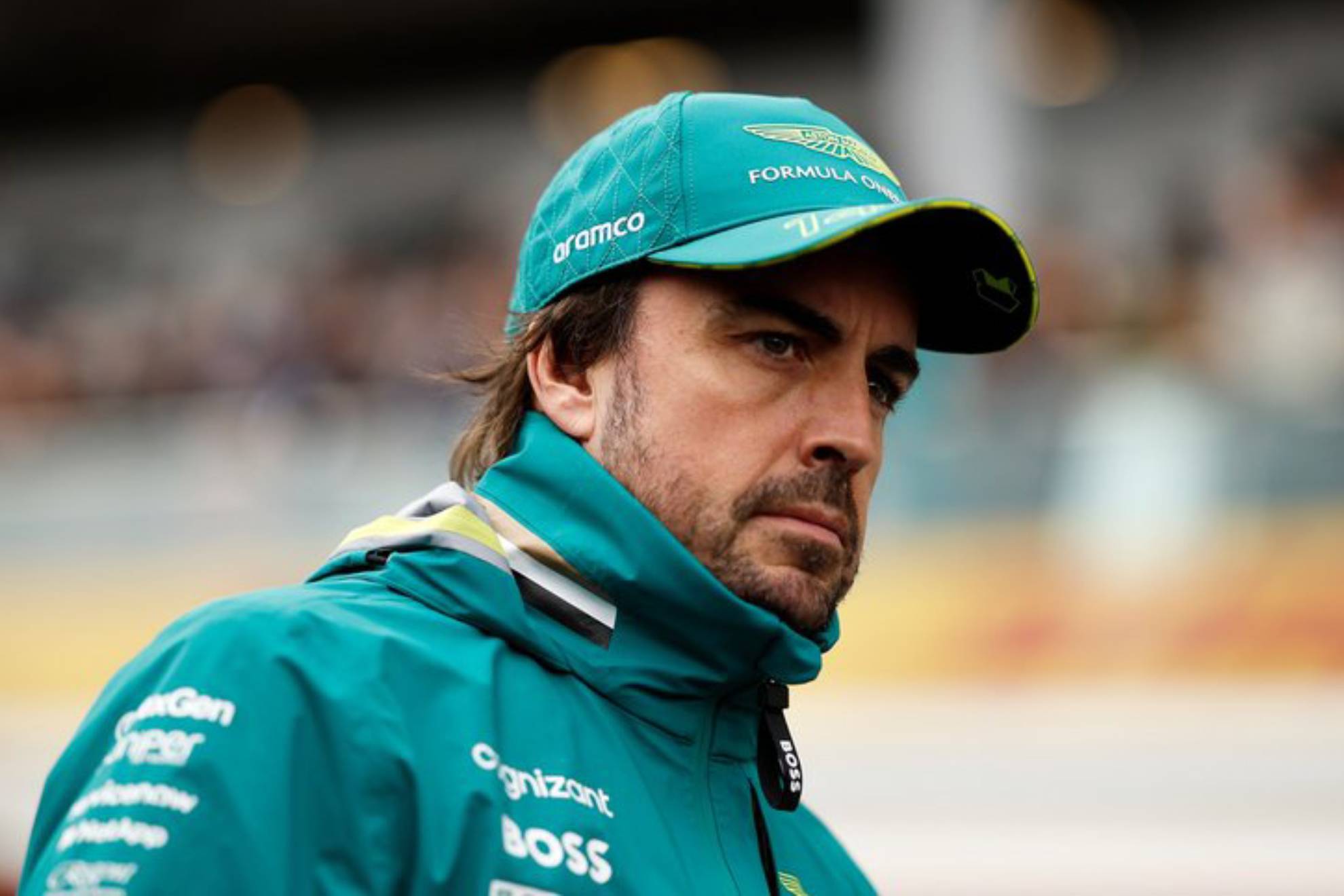 合适的替代 合适的替代