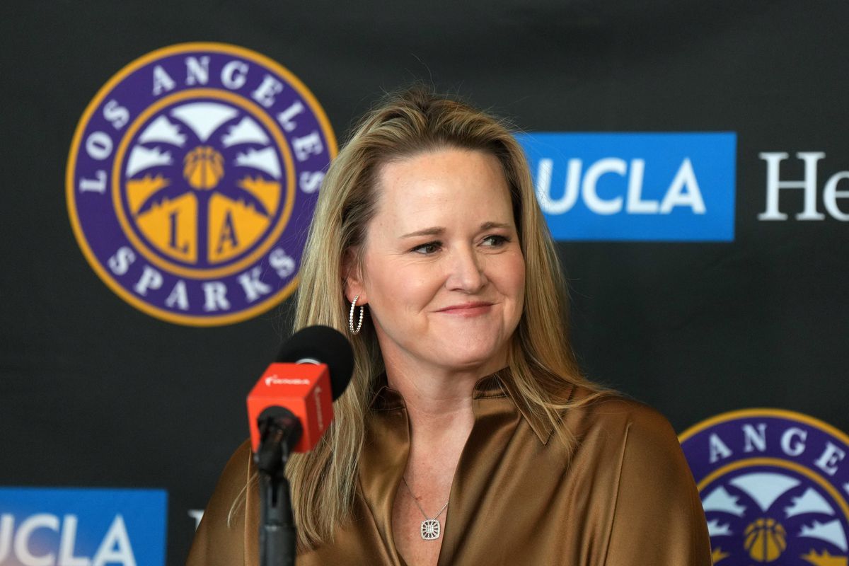 计树立了开 计树立了开