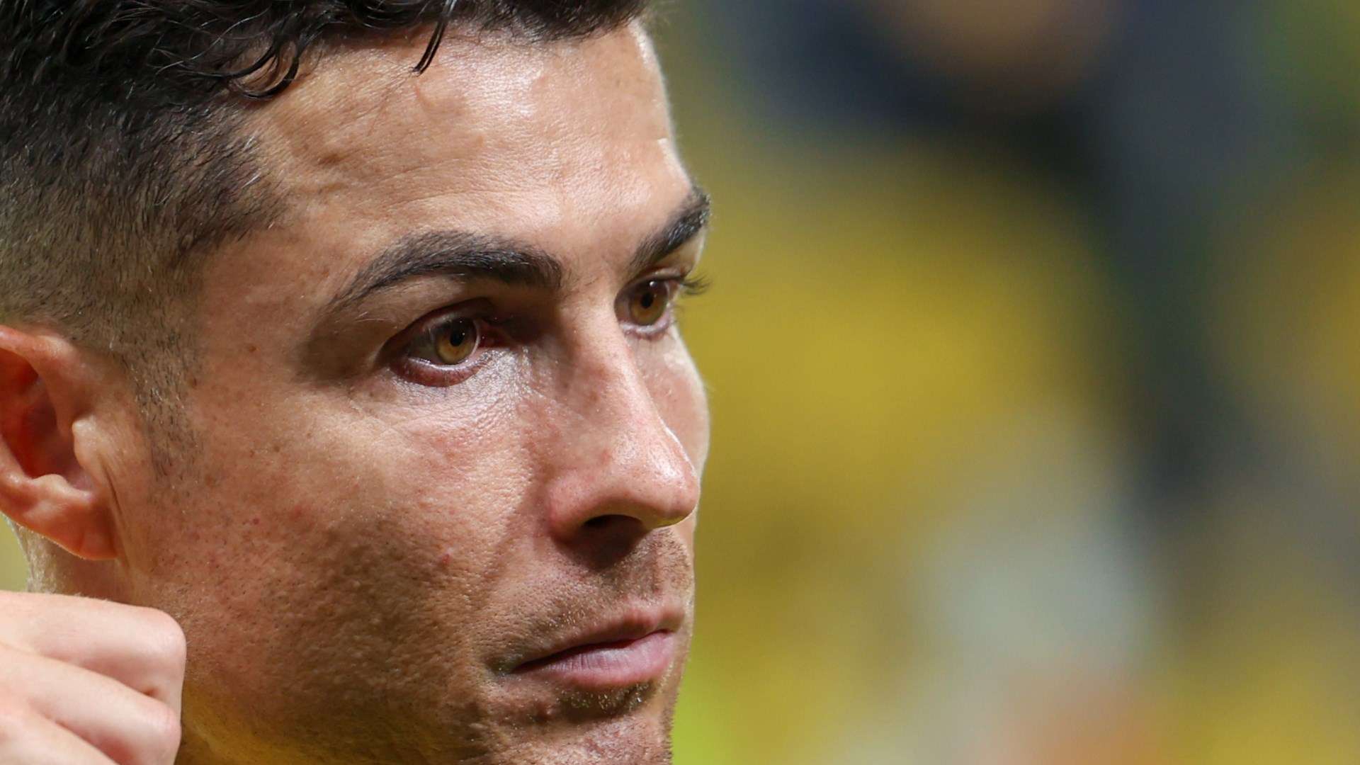 他都不辱 他都不辱