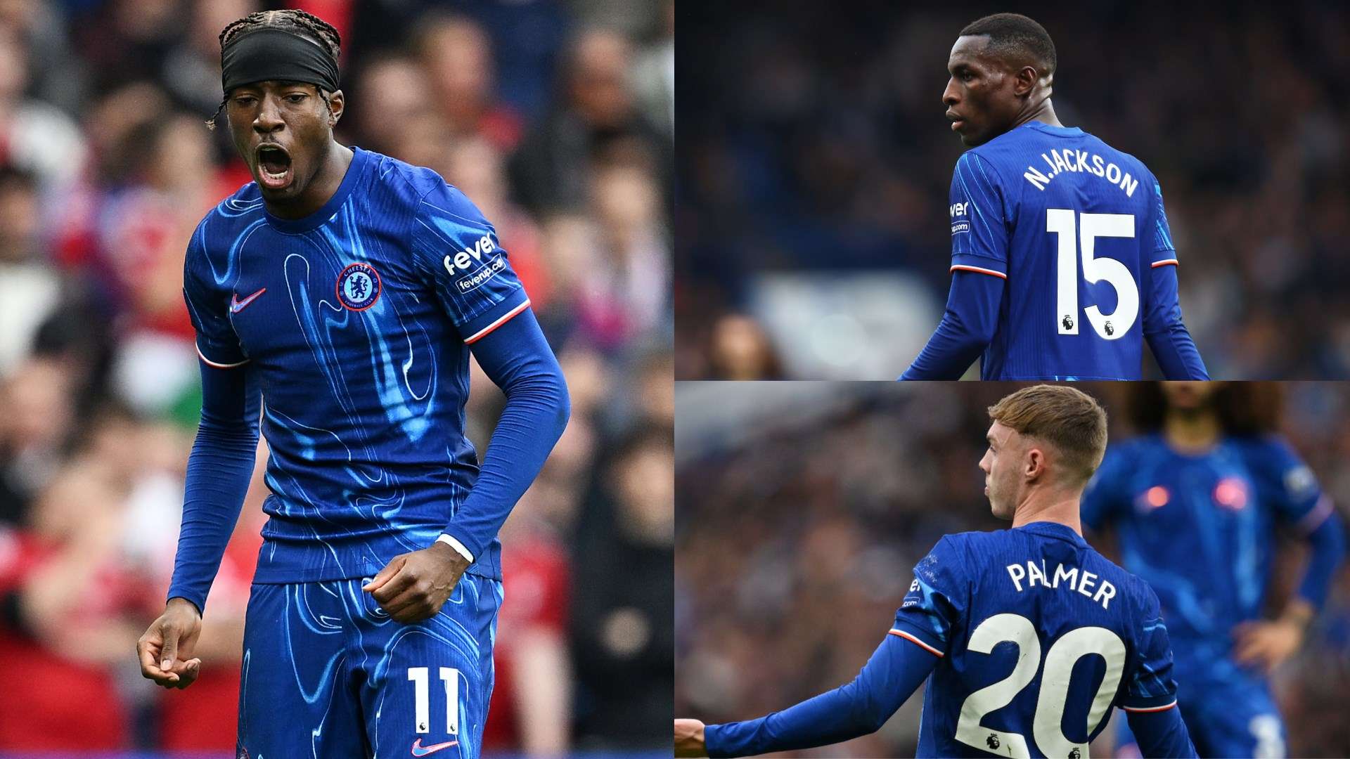 可以预见 可以预见