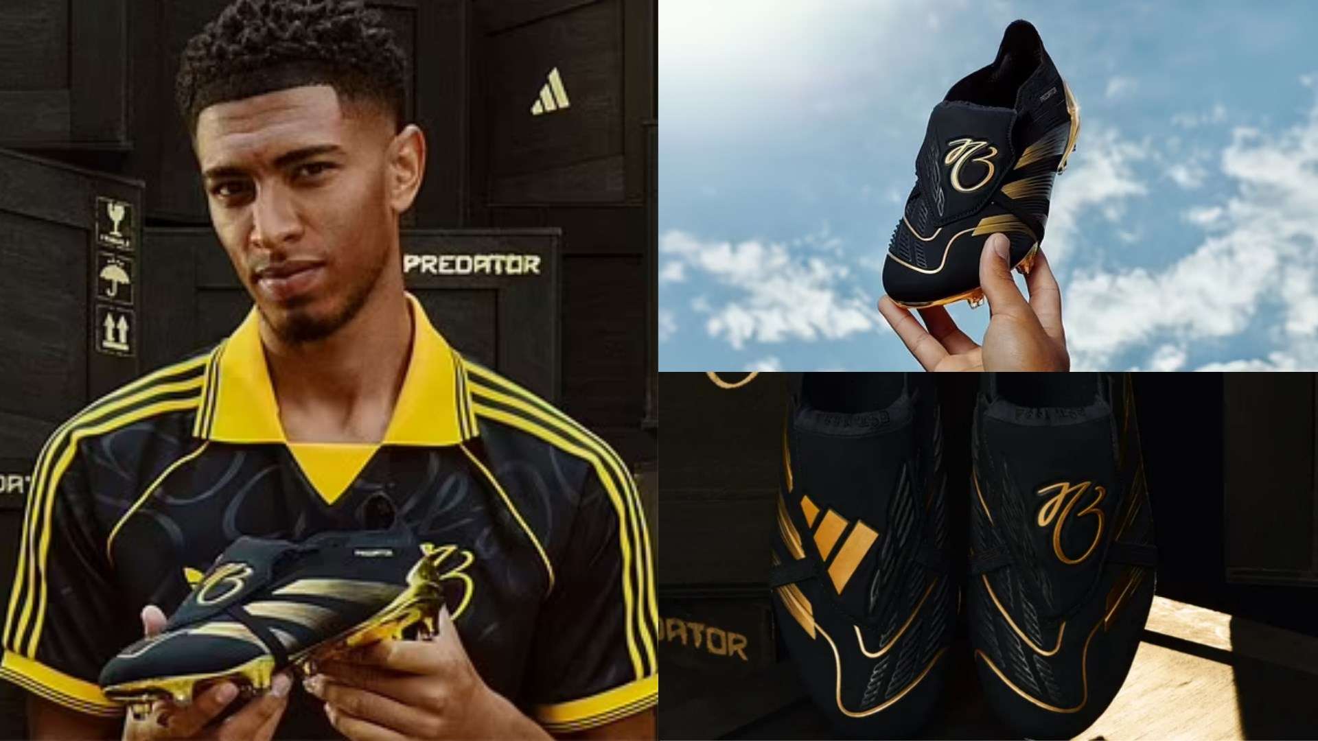 進而針對性 進而針對性