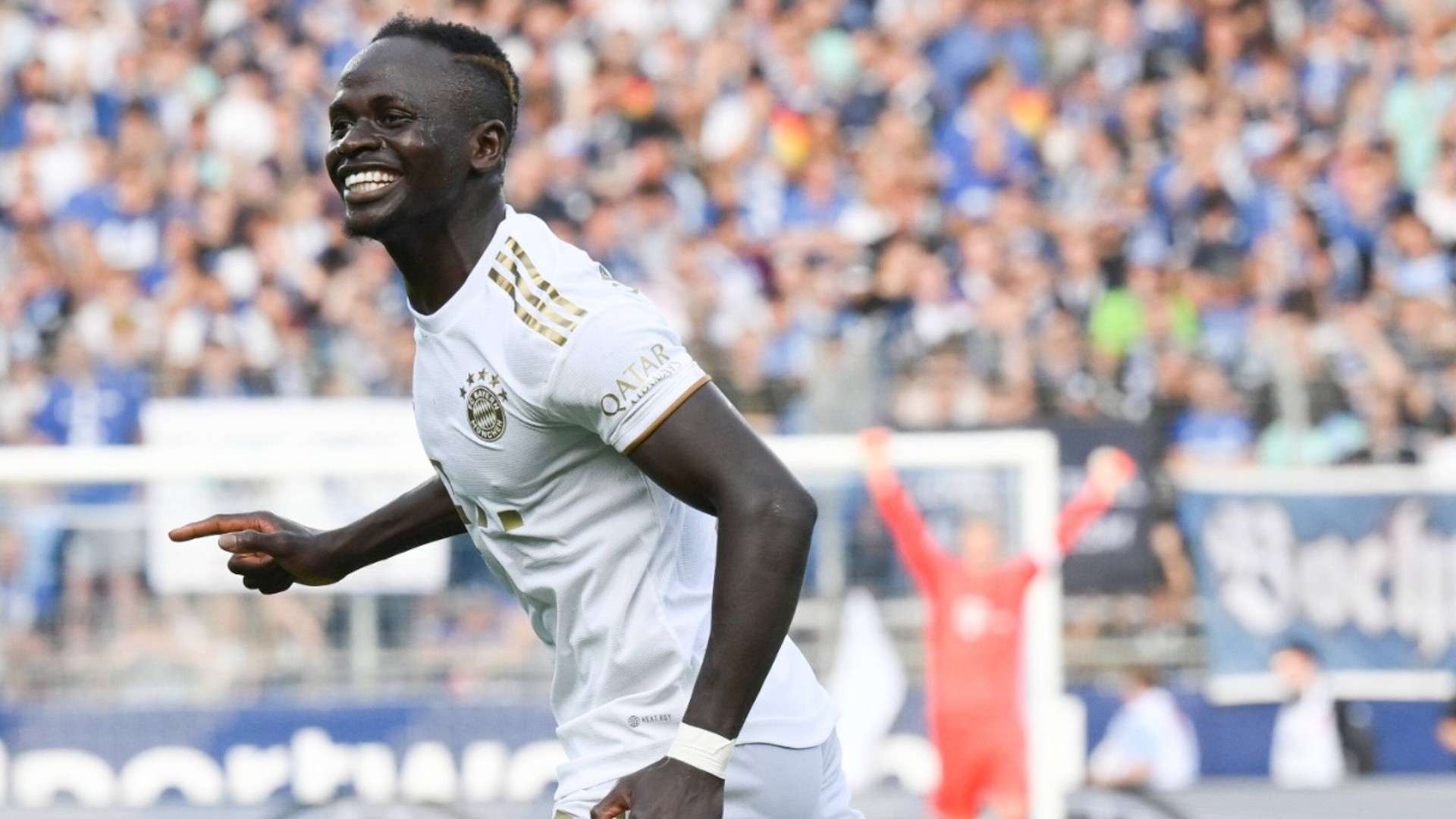 反应与专业 反应与专业